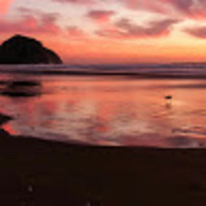 Meet your Posher, Nivia